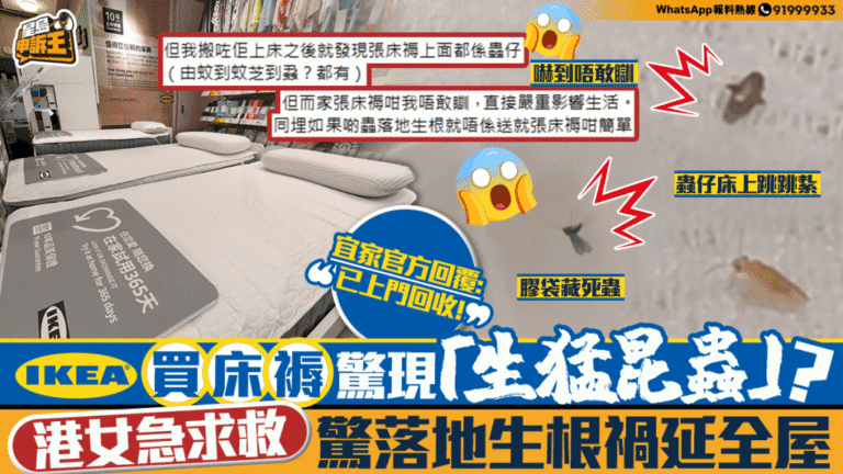 港女購IKEA新床褥發現昆蟲 專家分析倉儲運輸或為肇因