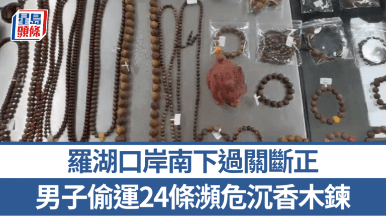 羅湖口岸截獲瀕危沉香木製品 男子攜帶24條手串頸鍊未申報