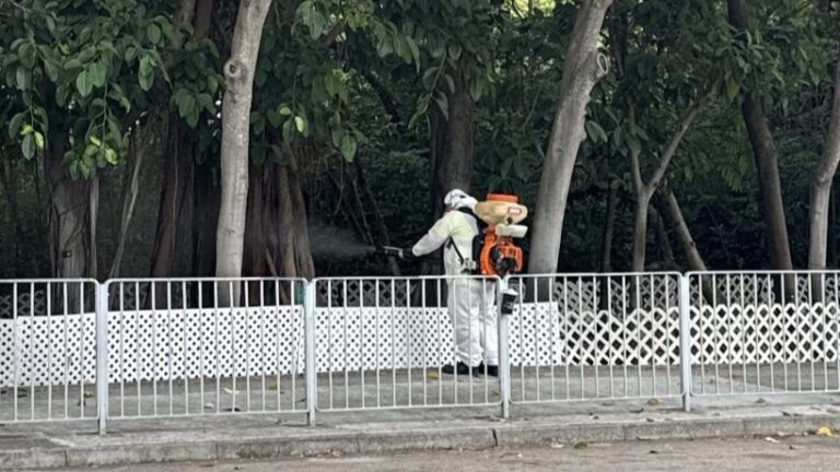 三區蚊患指數超警戒 食環署巡查地盤及屋苑提檢控