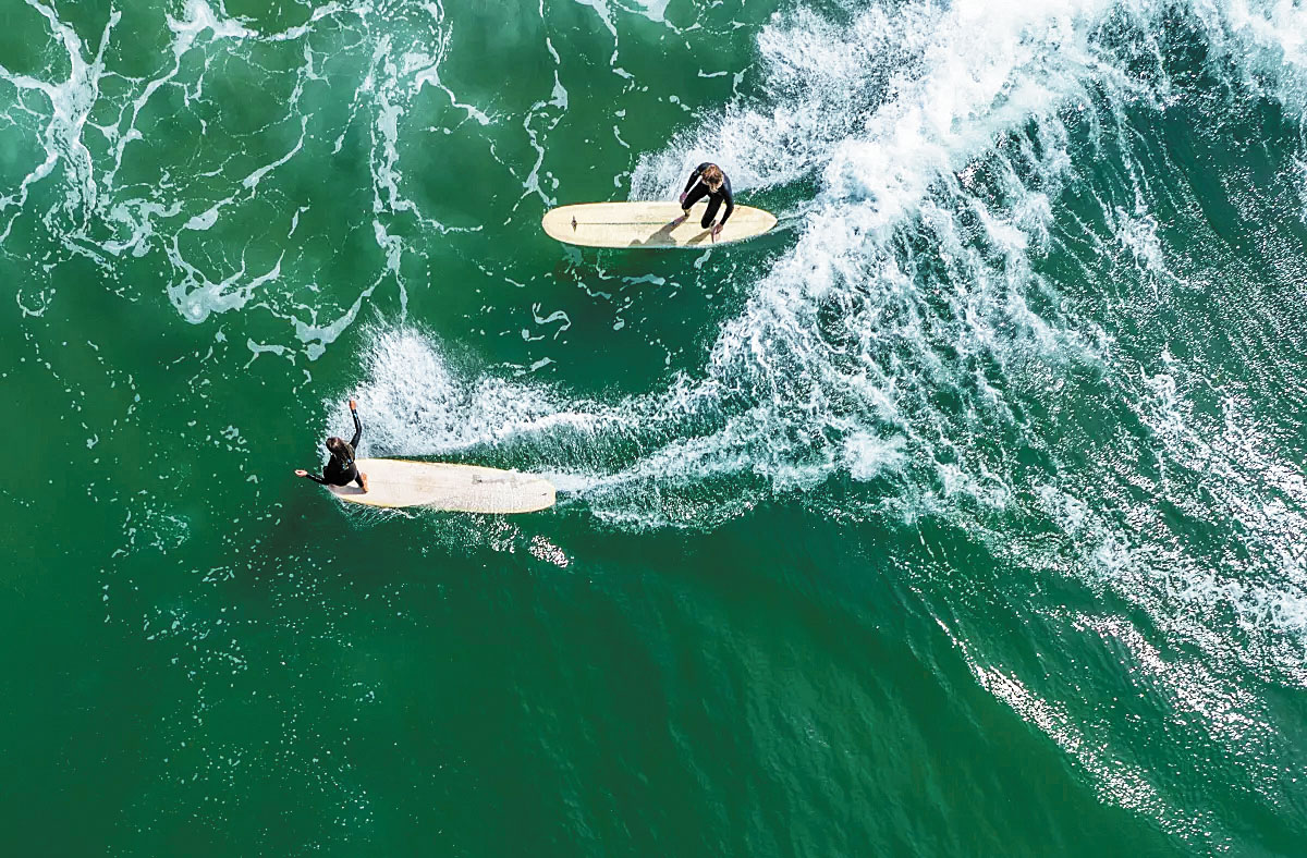 世界衝浪聯盟因發現一條體型龐大且極具攻擊性鯊魚而推遲了比賽。洛杉磯時報