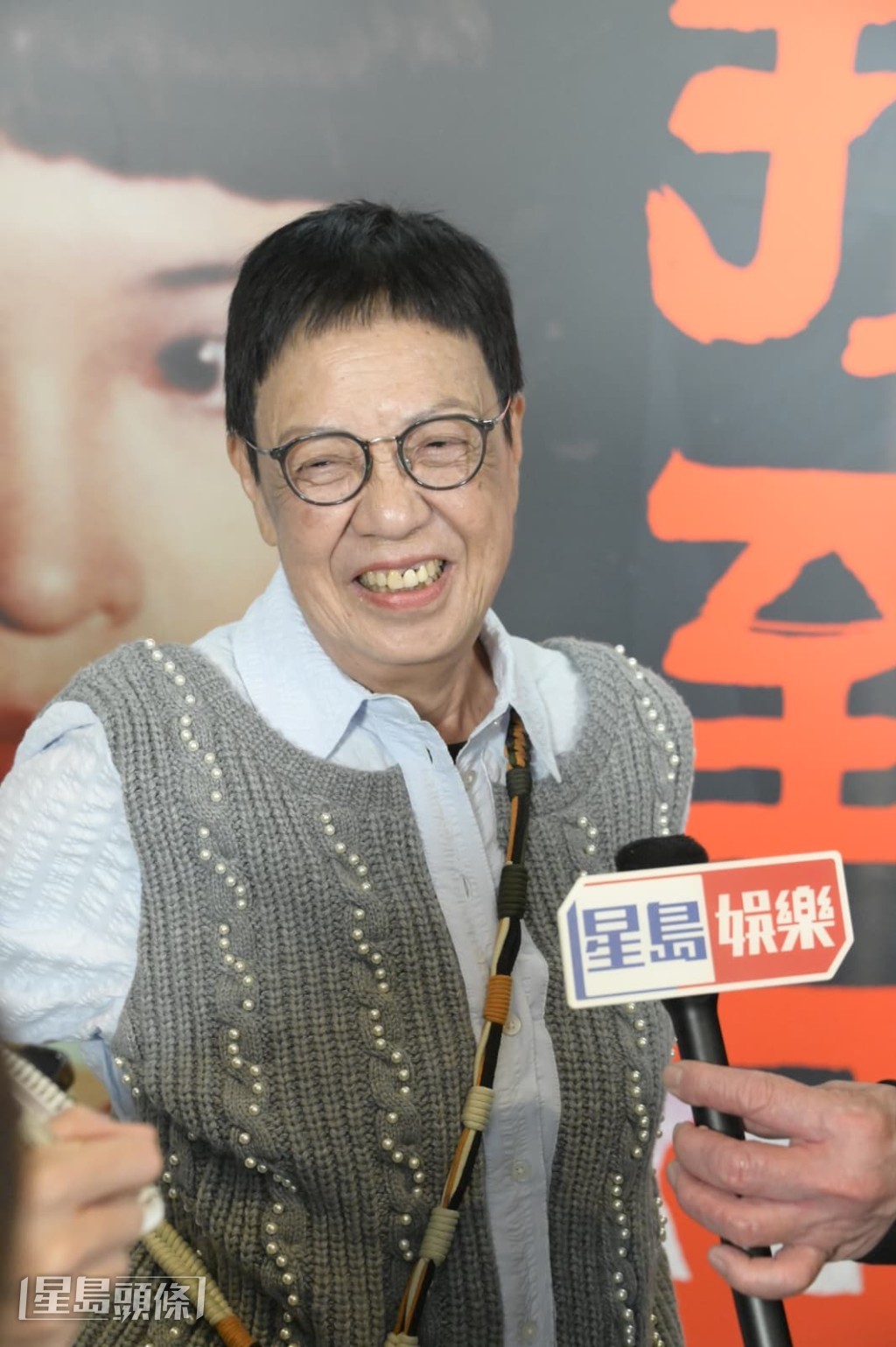 許鞍華認為，近年電影預算過低，直接限制了可拍攝的題材範圍。