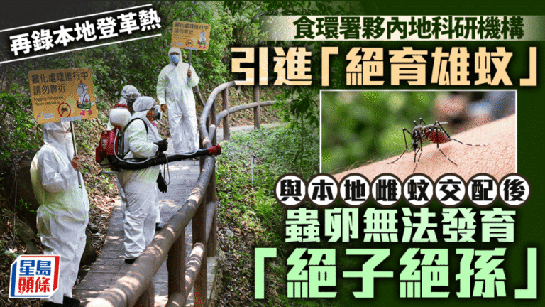 食環署擬引進絕育雄蚊 以生物技術防治登革熱