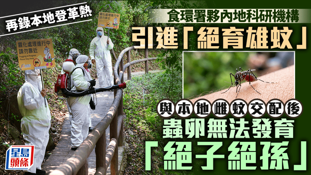 食環署擬引進絕育雄蚊 以生物技術防治登革熱