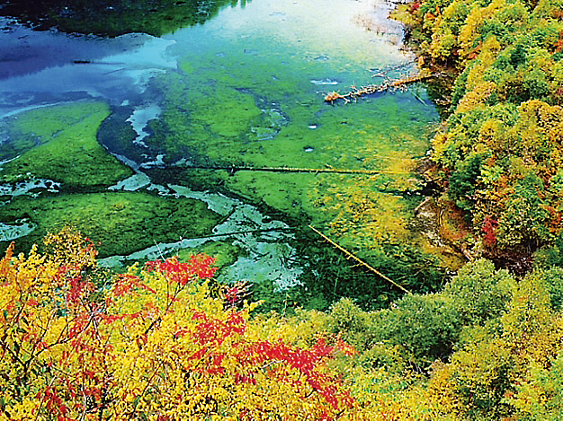 人間仙境九寨溝張家界,秀絕險峻長江三峽中國 青旅九寨溝張家界長江三峽十五天團