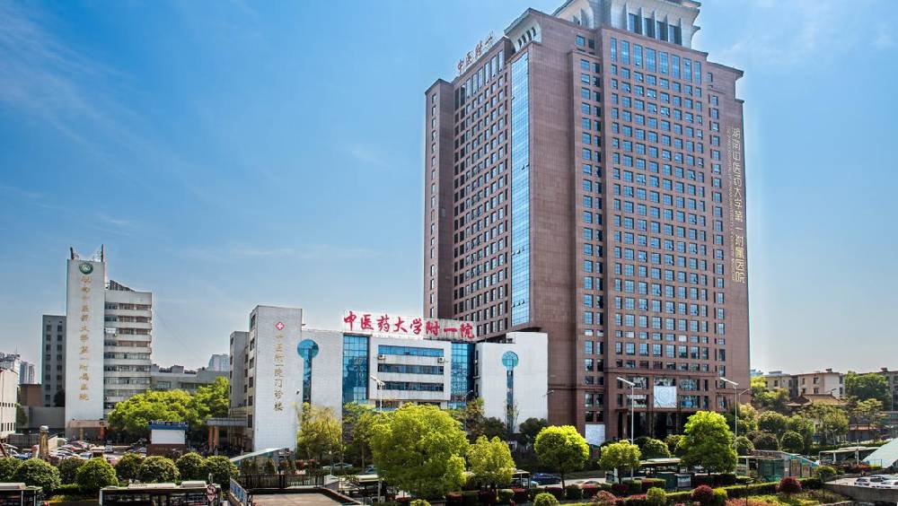 湖南醫院院長之子被指未實際上班 重複領取績效獎金