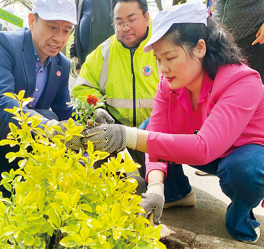 莊文怡(右一)與賀立寧(左一)29日協助園藝工作。