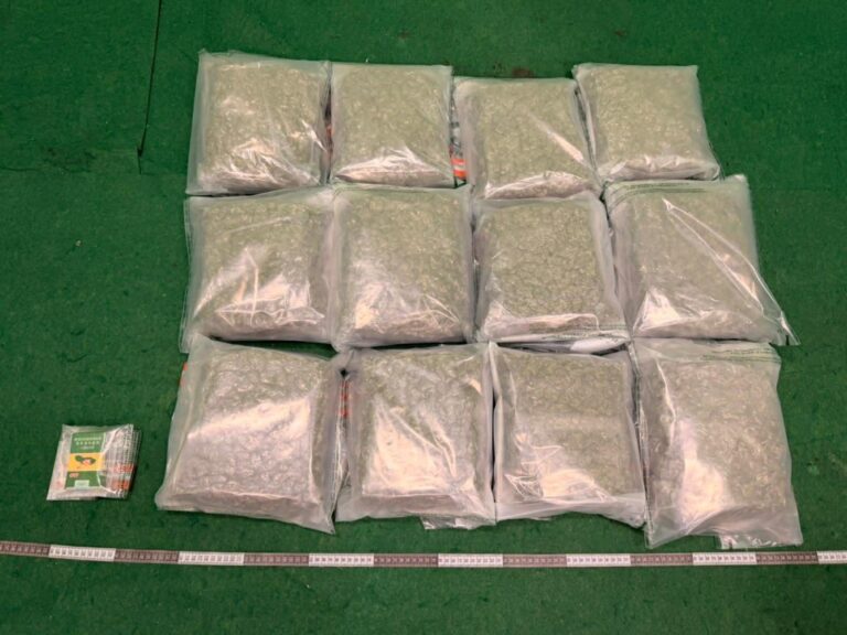 香港海關機場偵破販毒案 兩名曼谷抵港旅客行李藏12公斤大麻花