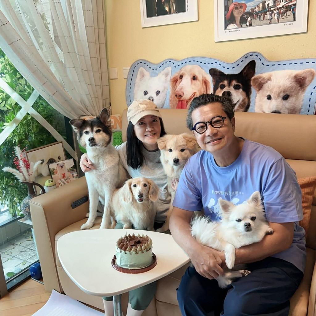 劉倩怡與鄭子誠珍視家中的四隻寶貝犬，為了牠們的生活，樂意接更多工作。