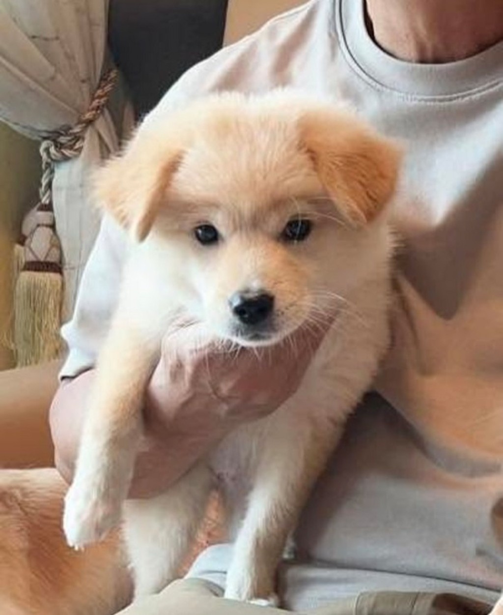 「心心」小時候模樣可愛，深得鄭子誠夫婦寵愛。