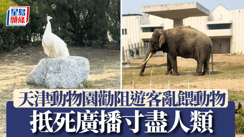 天津動物園以幽默廣播勸阻遊客投餵 對比動物與人類生活引發共鳴