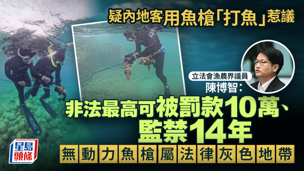內地客浮潛使用魚槍捕魚惹關注 議員指無動力魚槍屬法律灰色地帶