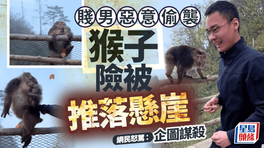 四川峨眉山遊客惡意推猴險釀意外 景區將涉事者列入黑名單