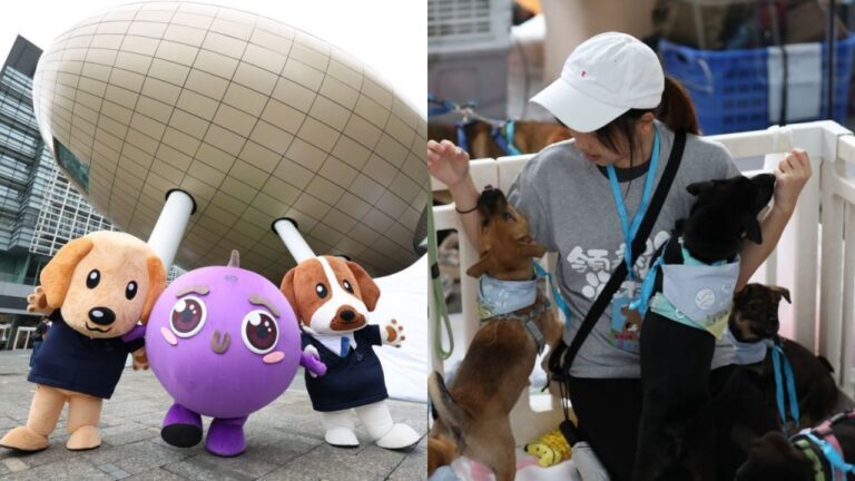 警隊聯同團體於科學園舉辦動物市集 推動領養文化及生命教育