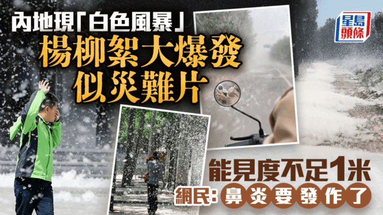京哈高速現飛絮風暴 能見度驟降影響行車安全