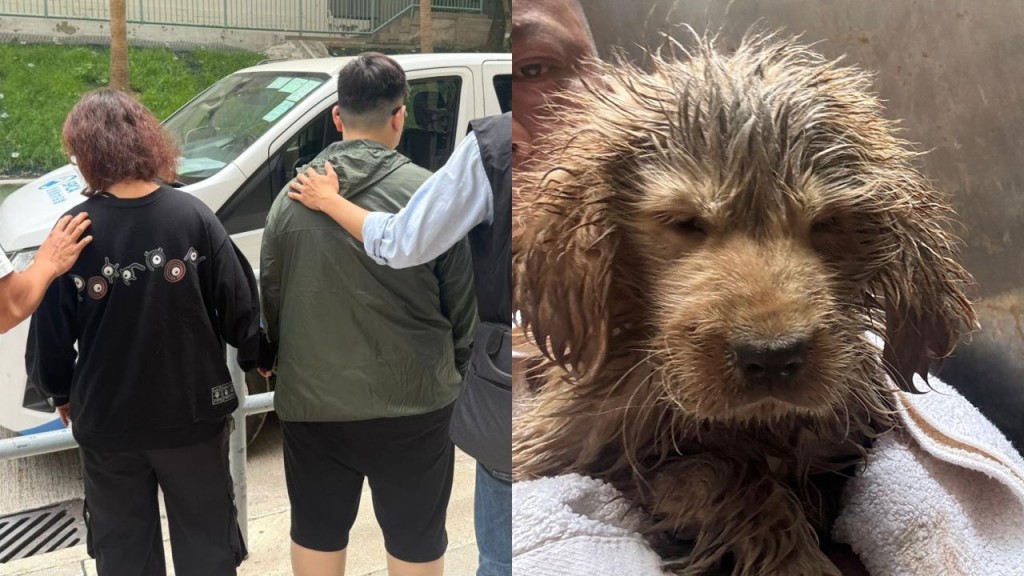 旺角後巷棄置病犬案 警方翻查天眼拘捕一對女伴侶 疑涉走私動物