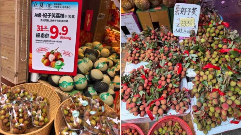 荔枝迎來「小年」 妃子笑平價上市 桂味糯米糍產量料大跌八成