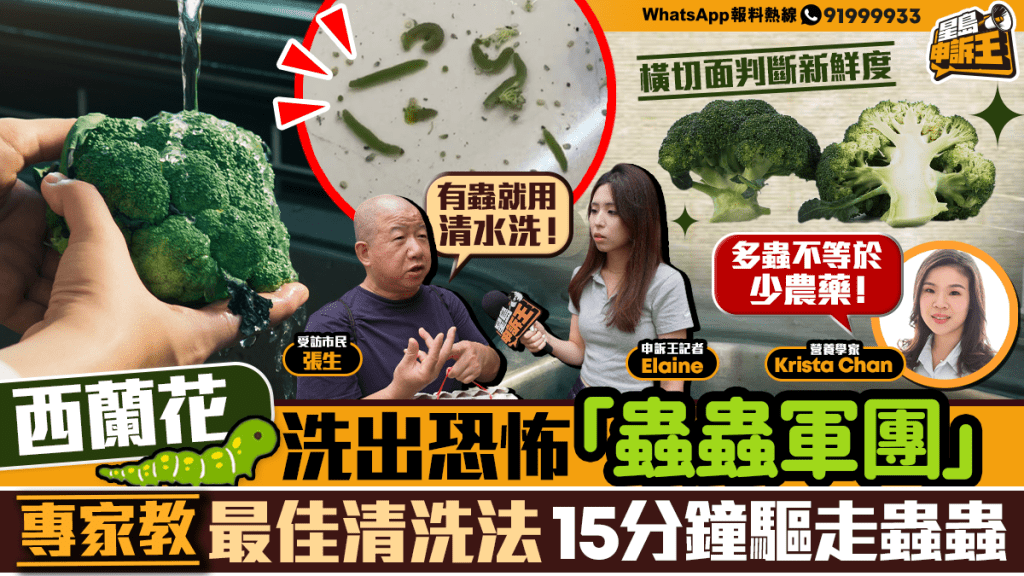營養學家拆解西蘭花清洗法 教你徹底去除菜蟲
