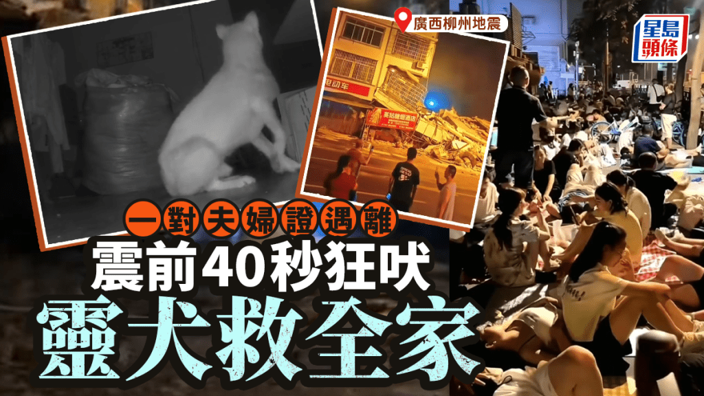 廣西柳州5.2級地震 夫婦遇難91歲翁獲救 靈犬預警助逃生