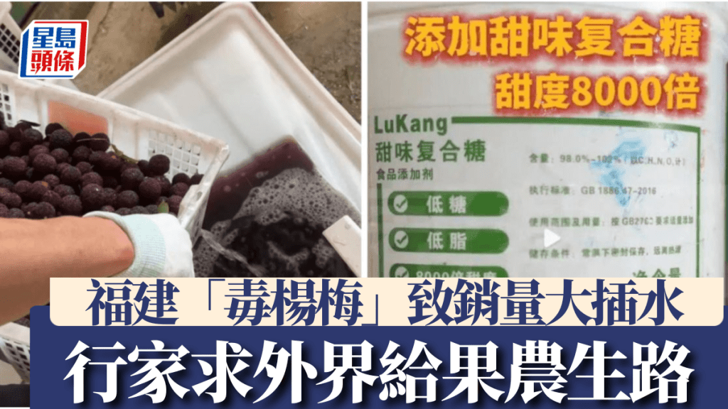 福建楊梅違規添加事件引發行業危機 果農面臨滯銷困境