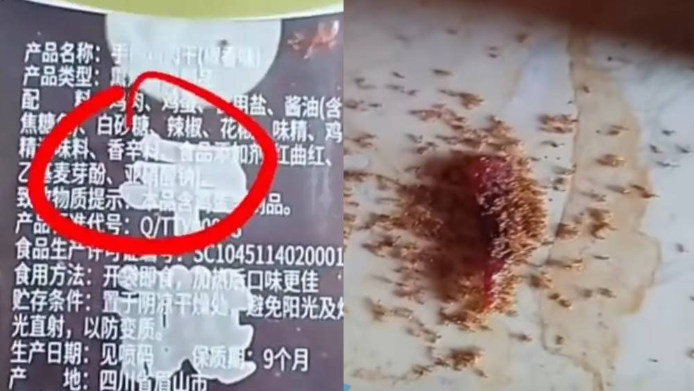 海南童掉落肉乾碎屑引螞蟻啃食後集體死亡 引發食品添加劑安全討論