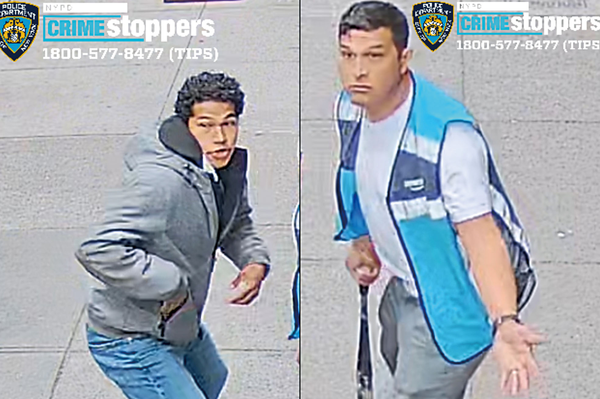 圖為涉案團夥。NYPD