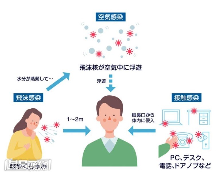 麻疹可透過空氣、飛沫及接觸傳播,傳染性極高。