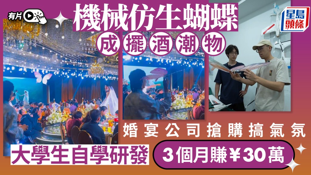 仿生蝴蝶成婚宴新寵 武漢大學生創業三個月賺30萬