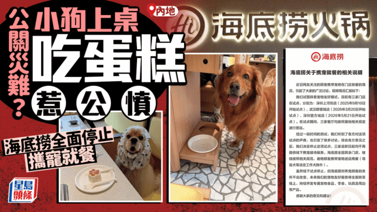 海底撈終止攜寵就餐試點 寵物上桌爭議促政策轉向