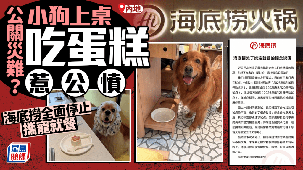 海底撈終止攜寵就餐試點 寵物上桌爭議促政策轉向