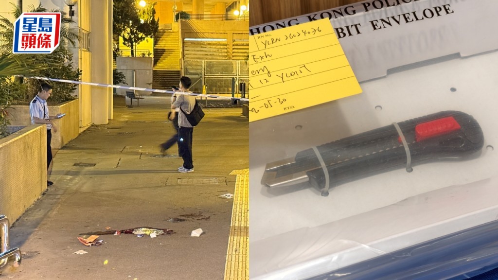 元朗婦人遭持刀搶劫受傷 警方迅速破案拘捕非法入境男子