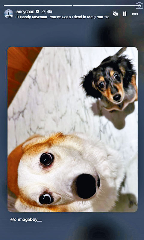 Ian家中添新成員,現時一共養了兩隻愛犬。