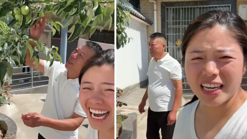 河南男子網購車厘子樹苗三年後結出蘋果 女兒拍片記錄趣事