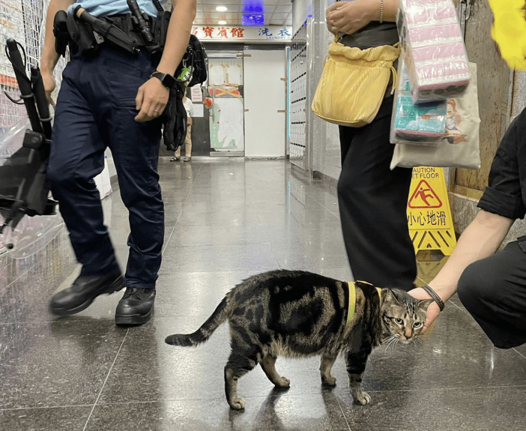 旺角賓館誤會引發警方持盾調查 貓店長「阻B」意外成焦點