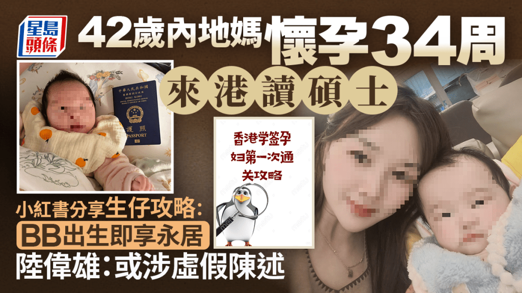 內地孕婦赴港攻讀碩士引關注 法律界指虛假陳述來港產子或違法