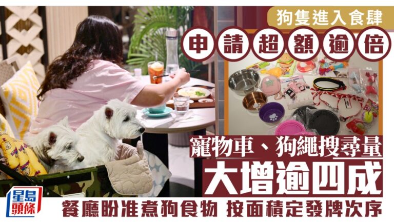 食肆狗隻准入牌照申請超額 業界盼放寬規管促人寵共融