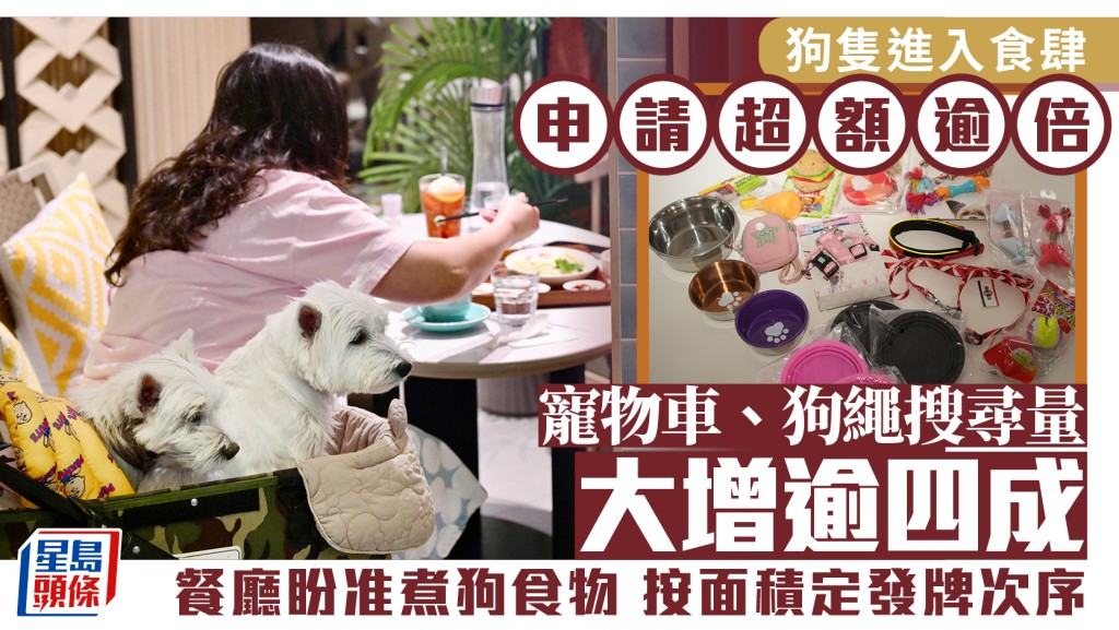 食肆狗隻准入牌照申請超額 業界盼放寬規管促人寵共融