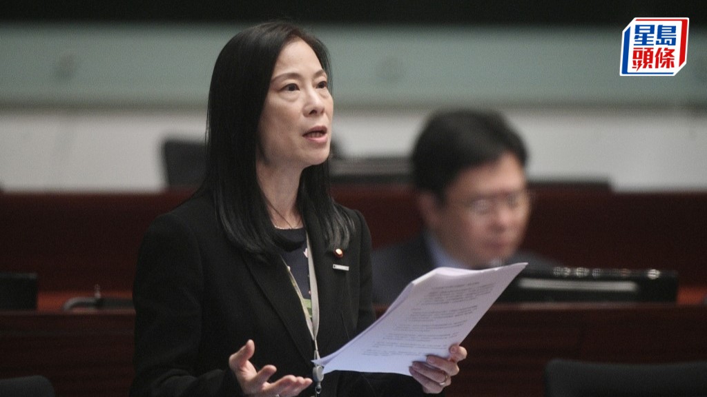 陳曼琪促政府制訂《婦女全面發展藍圖》 提出四項具體建議