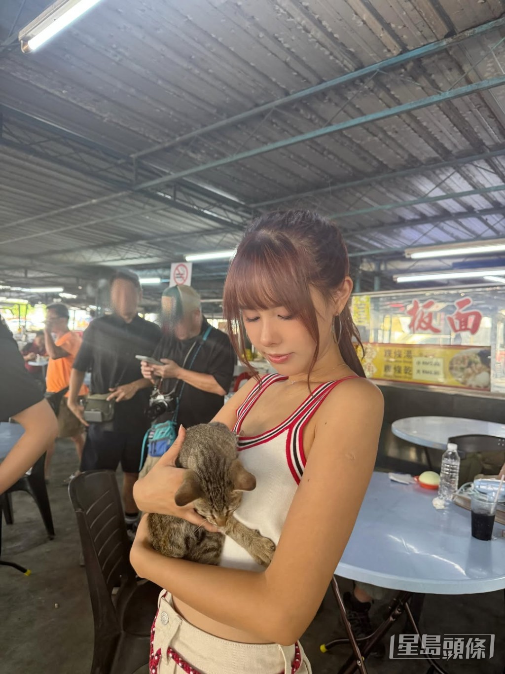 兩人曾在社交媒體分享一同玩貓的互動片段。