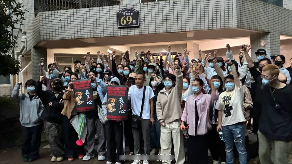 重慶男子被指假借領養虐殺貓狗 動保人士聚集抗議