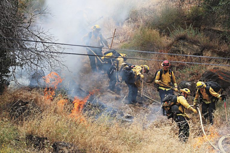北加州尤洛縣爆發山火。Cal Fire