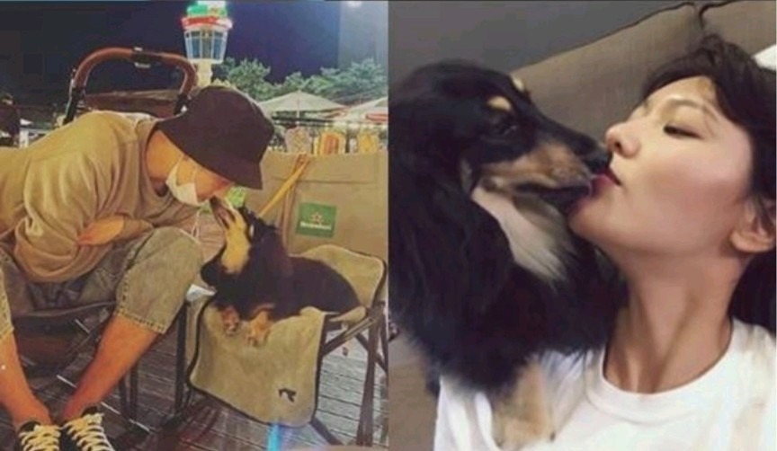 這隻飼養了13年的臘腸狗名為「淏英」,秀英也與牠感情深厚。