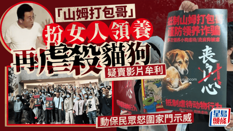 重慶男子涉假領養虐殺貓狗被拘留 引發動保民眾示威