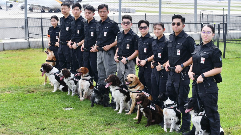 機場保安犬隻行動小組五周年 嗅探犬高效處理無人看管行李