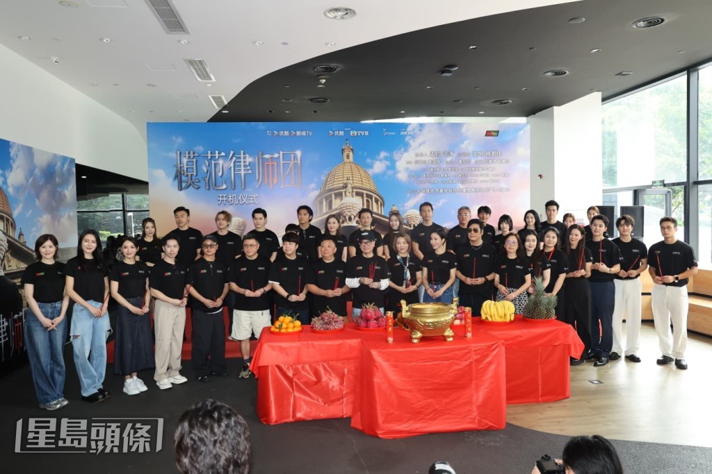 《模範律師團》的演員陣容相當鼎盛。