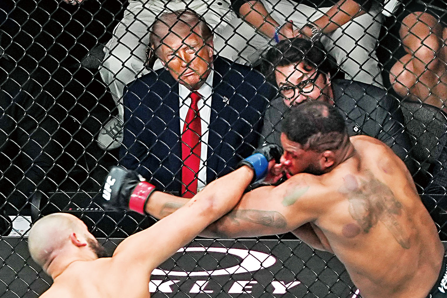 特朗普總統4月在邁阿密觀看UFC格鬥賽。美聯社資料圖