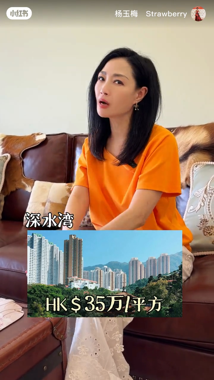 楊玉梅指同樣價錢在香港只夠買個廁所。
