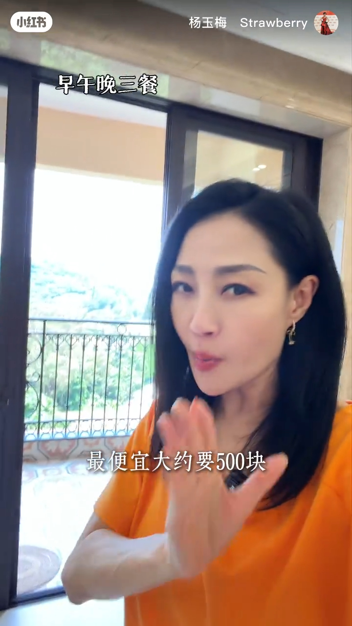 楊玉梅表示在香港解決三餐大約要500元。