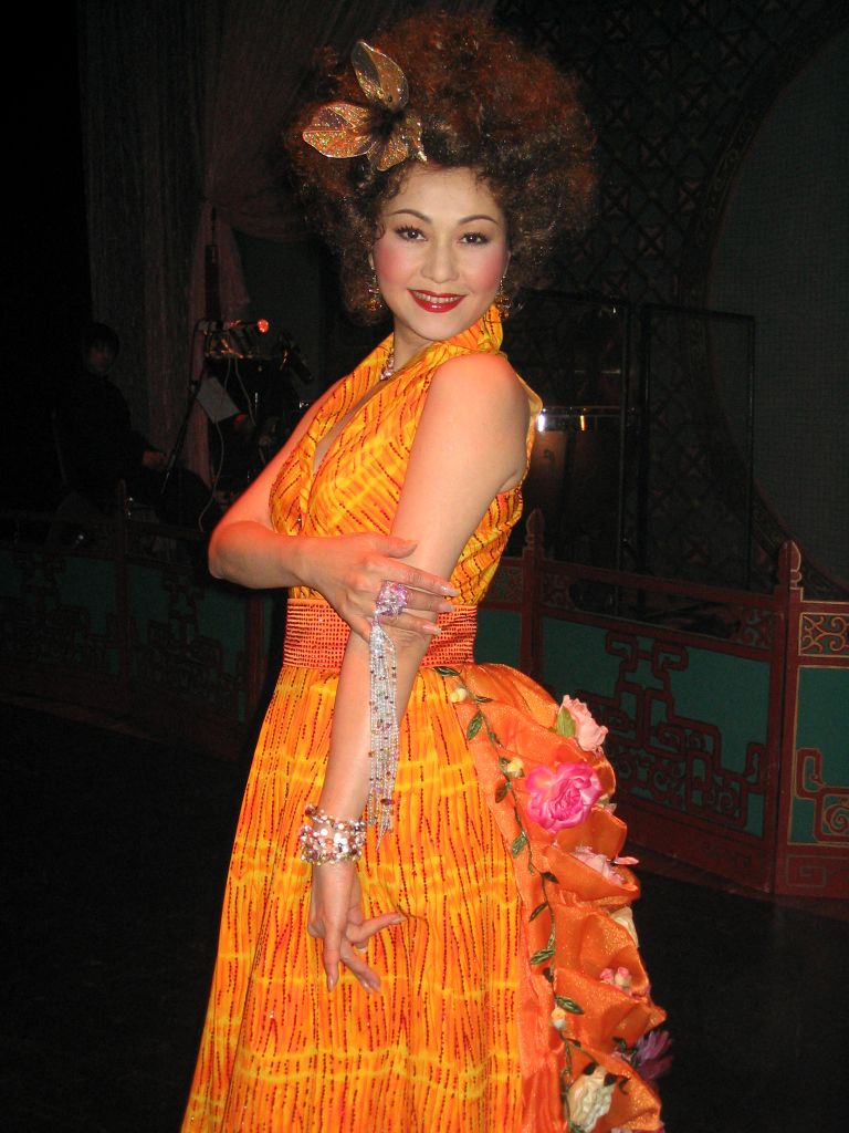 胡美儀的演藝生涯中,曾以唱歌為主要工作。