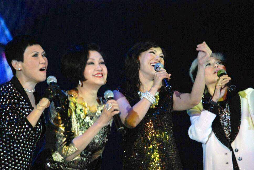 胡美儀過往曾與陳潔靈、雷安娜、仙杜拉等一同到海外登台演出。