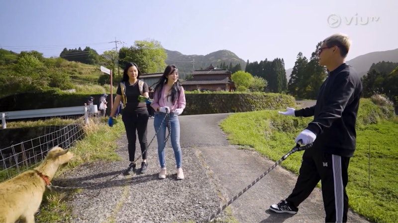 蒙嘉慧主持的ViuTV節目吸引不少人收看，但其拍檔保錡被部分觀眾指為節目敗筆。